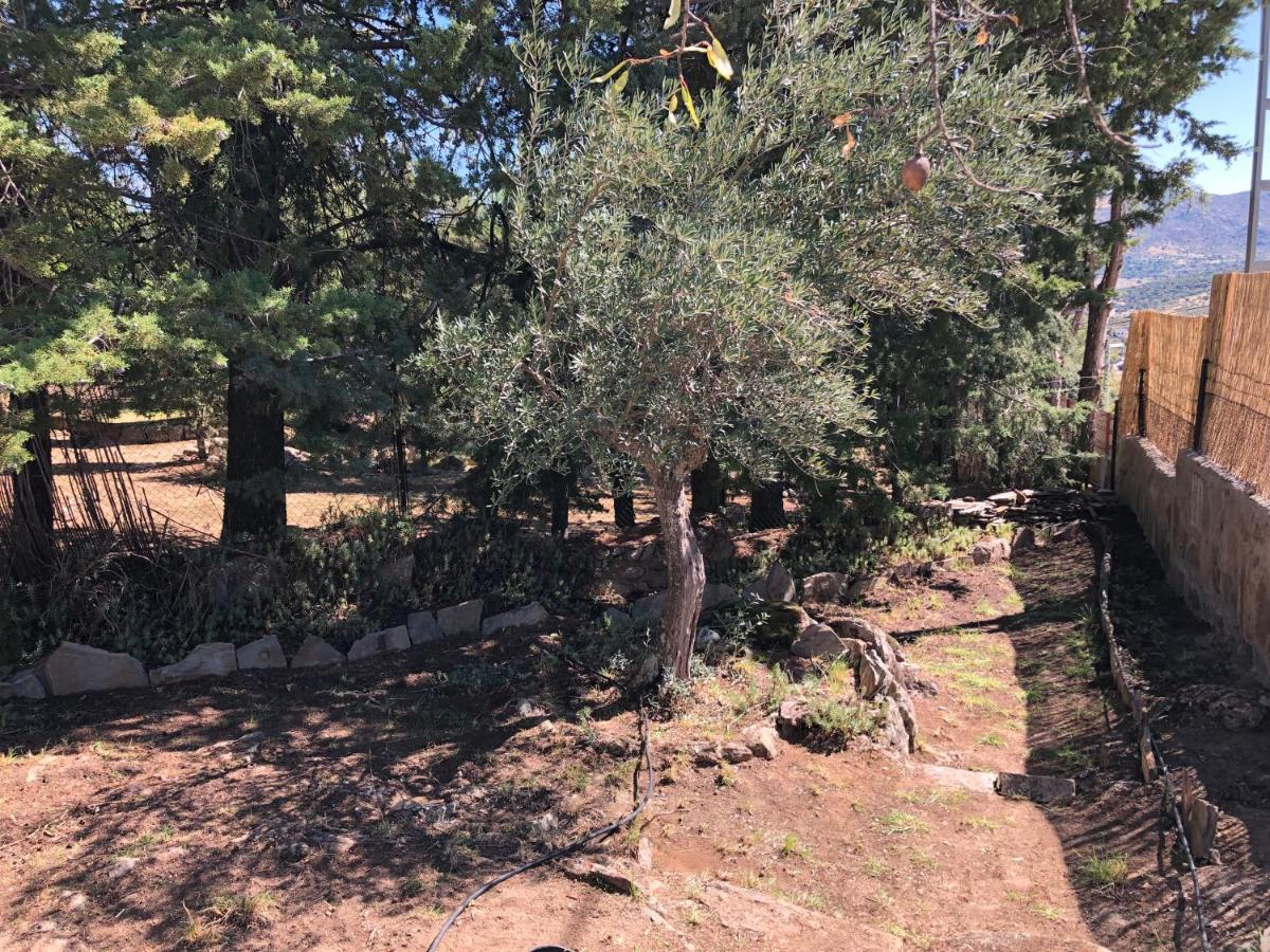 Casa Rural Los Olivos De Robledo De Chavela La Estacion Eksteriør billede